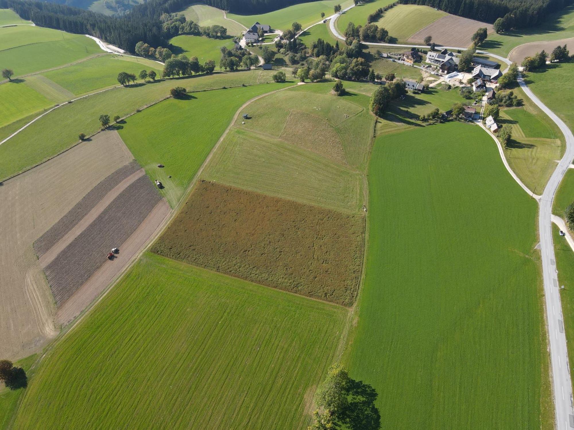 Biohof Kroisleitner Sankt Jakob im Walde Exterior foto