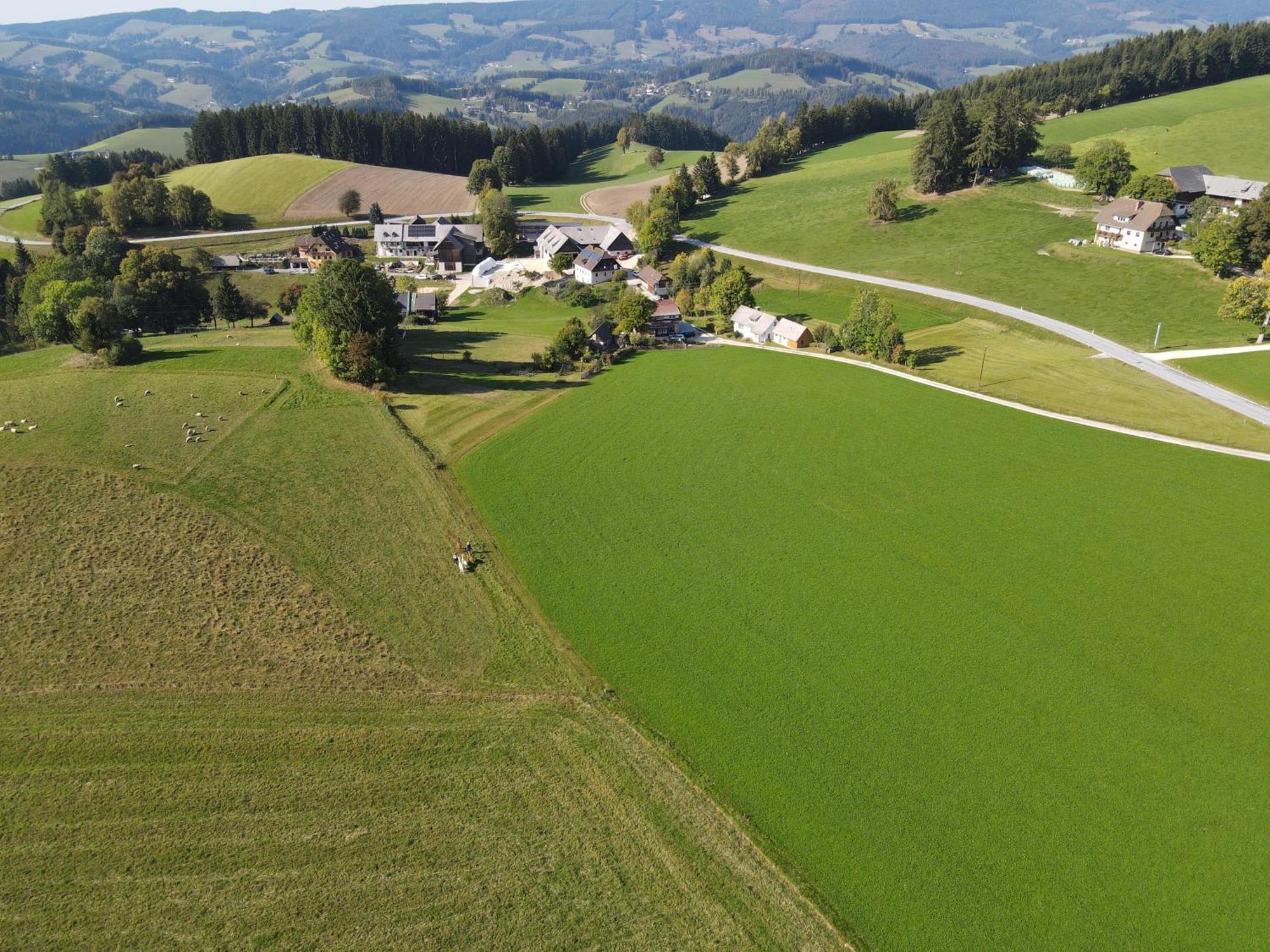 Biohof Kroisleitner Sankt Jakob im Walde Exterior foto
