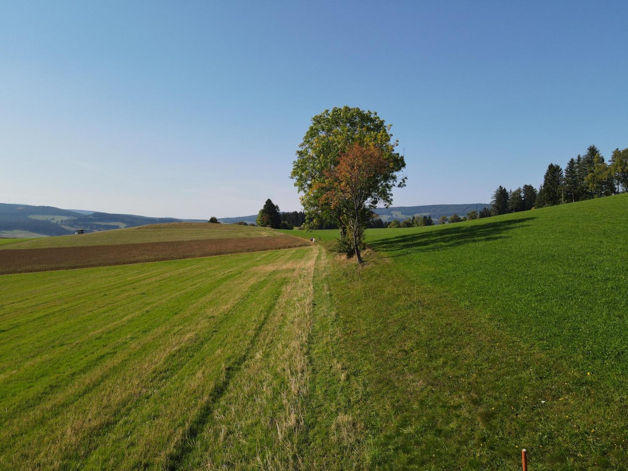 Biohof Kroisleitner Sankt Jakob im Walde Exterior foto